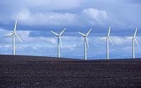 The Peoples' state will be aiming at environmentally friendly power