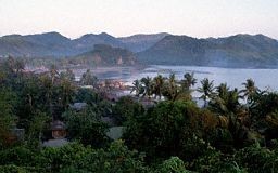 Housing in the jungle
